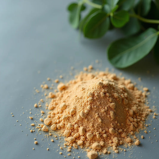 Energy Powders For Workouts - Energy Powders for Workouts to Boost Endurance and Focus