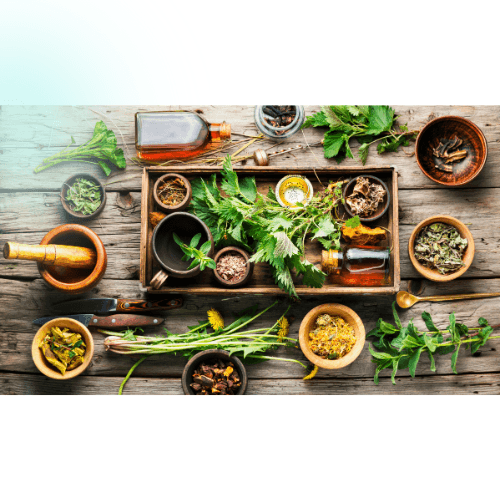 Herbal medicine setup with fresh and dried herbs, glass bottles, wooden bowls, mortar and pestle on rustic wood table