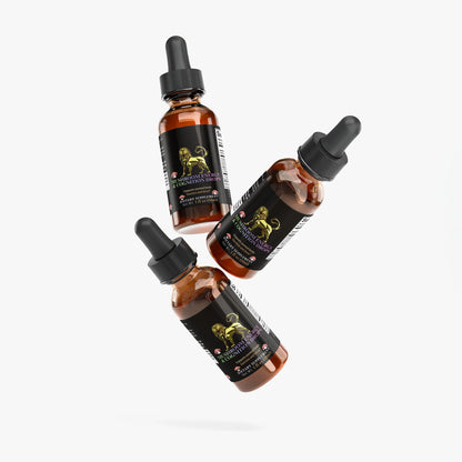Mushroom Energy & Cognition Drops